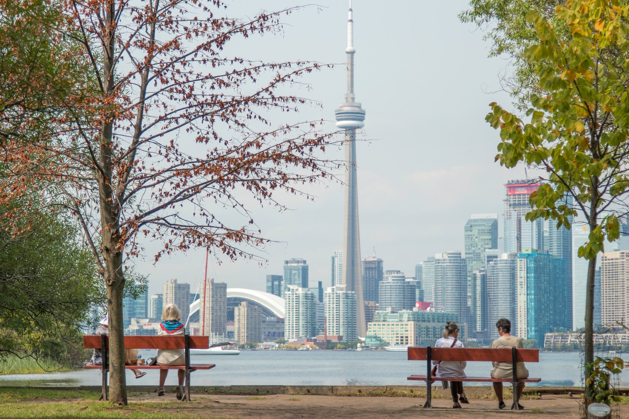 view of Toronto skyline in front of Lake Ontario and two park benches